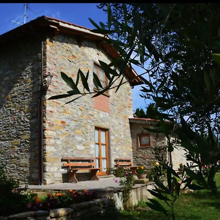 I Cipressi * Scopeti