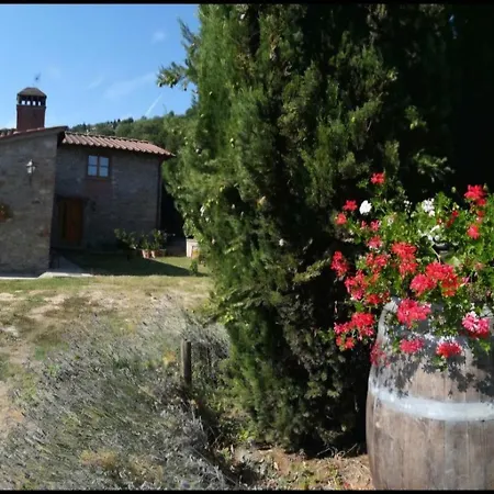 I Cipressi Scopeti